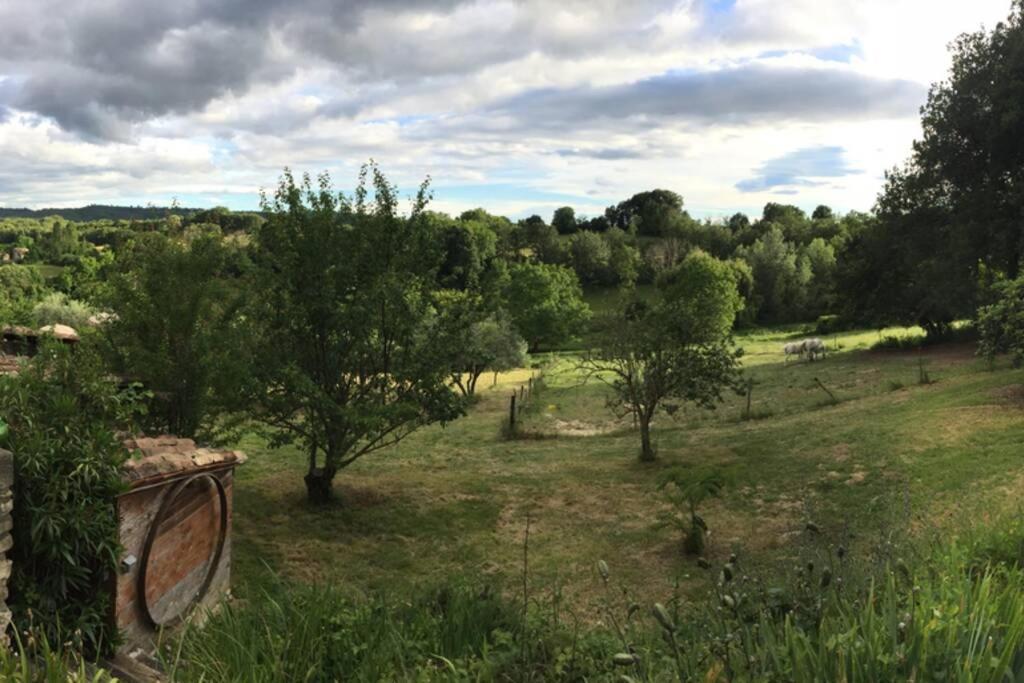 Gite Cocotte Luberon, Forcalquier Pierrerue  Exterior foto