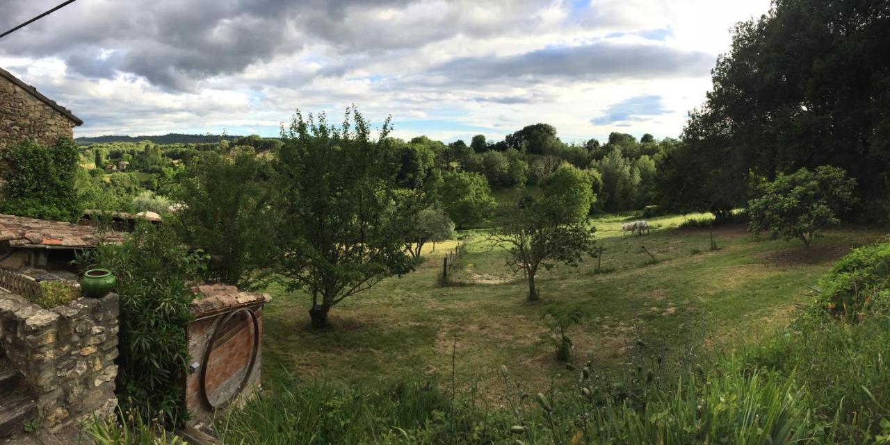 Gite Cocotte Luberon, Forcalquier Pierrerue  Exterior foto